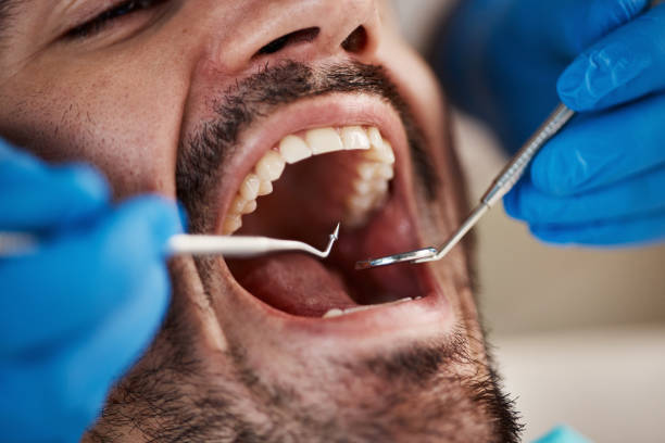 Best Emergency Pediatric Dental Care in Hayfield, VA