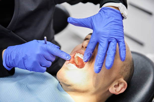 Best Emergency X-Rays and Diagnostics in Hayfield, VA